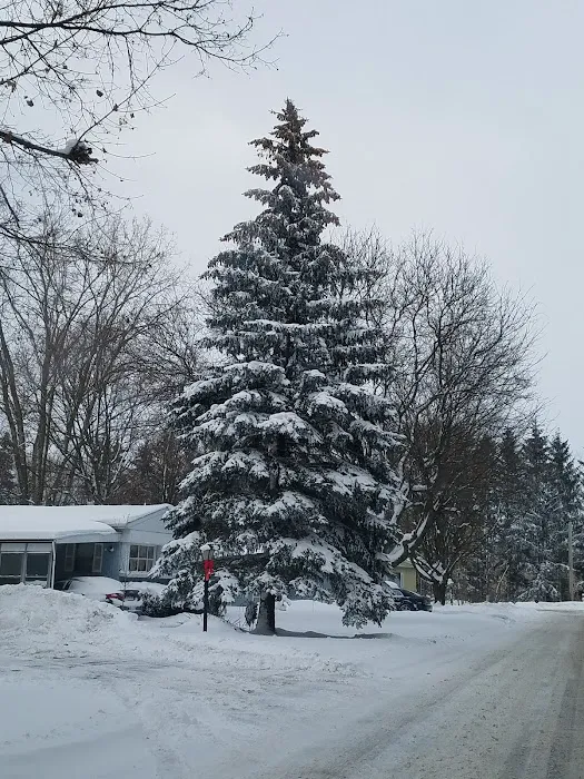 Lakewood Village Picture 1