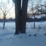 Applewood Mobile Home Estate