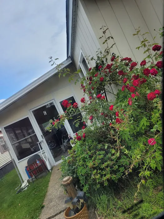 Windy Acres Picture 2