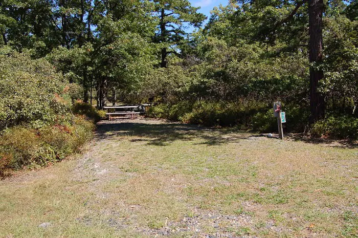 Thousand Trails Timothy Lake South Picture 10