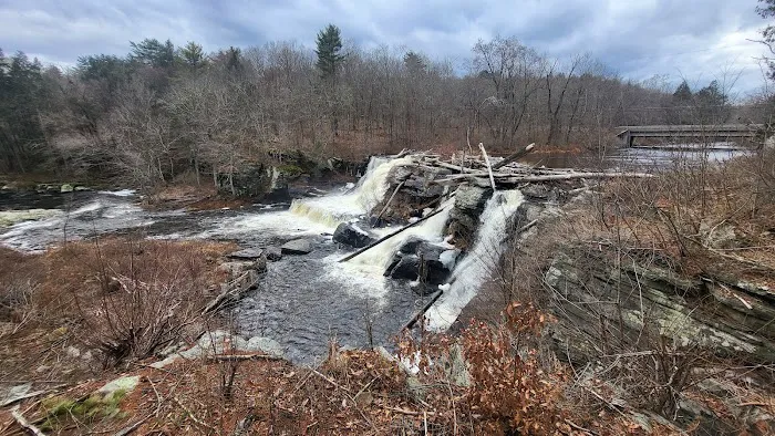 Resica Falls Scout Reservation Picture 5