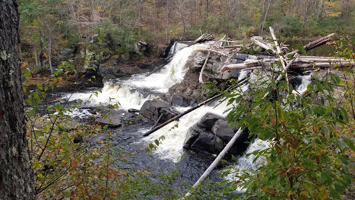 Resica Falls Scout Reservation Picture 9