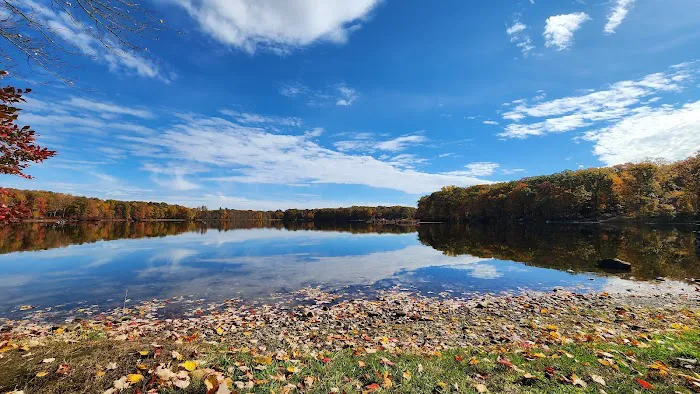 Otter Lake Camp-Resort Picture 6