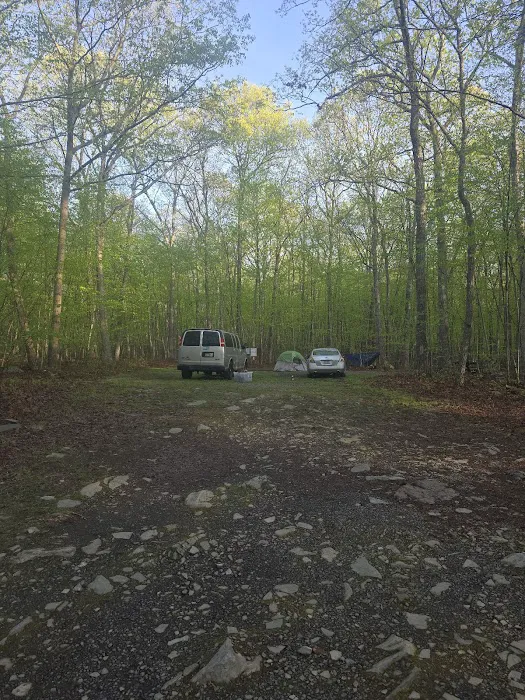 State Forest Campsite #S001 Picture 5