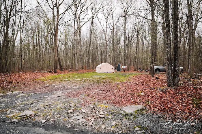 State Forest Campsite #S001 Picture 2