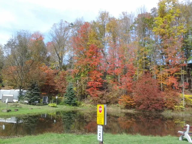 Unadilla / I-88 / Oneonta KOA Journey Picture 5