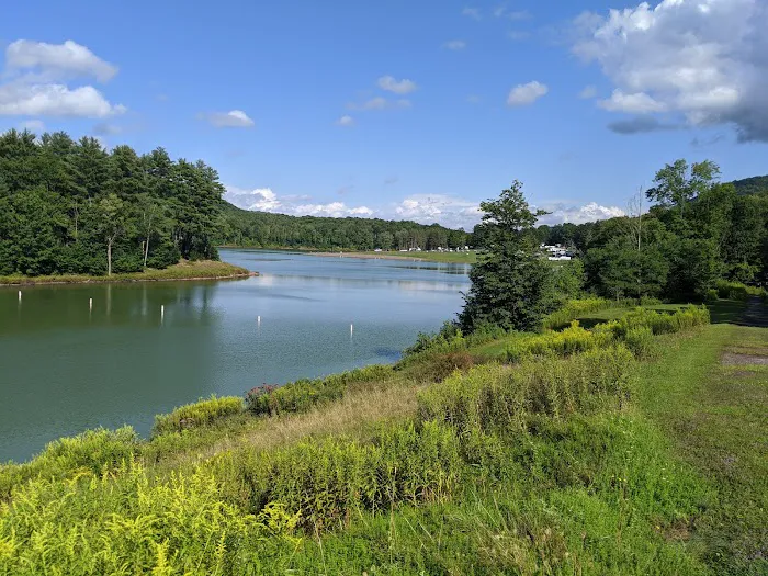 East Sidney Lake Campground Picture 2