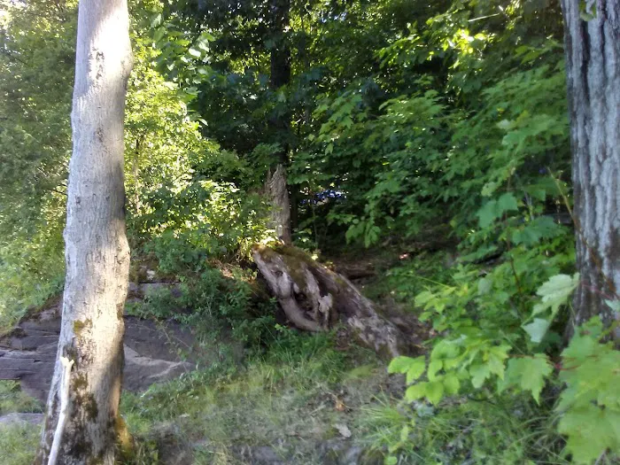 East Sidney Dam Recreation Area Picture 3
