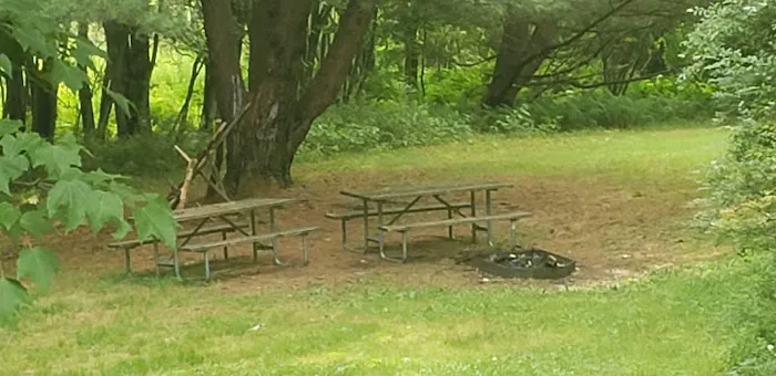 The Oquaga Cabin Picture 1