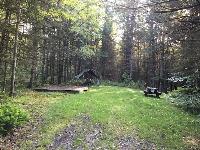 Kingswood Campsite Picture 5