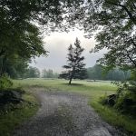 Kingswood Campsite