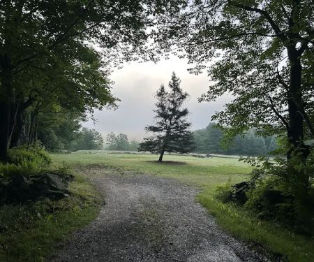 Kingswood Campsite