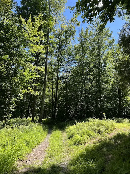 Secluded Acres Campground Picture 10
