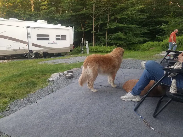Secluded Acres Campground Picture 4