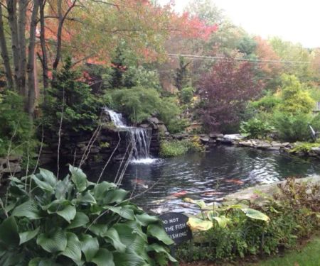 Three Pines Campground