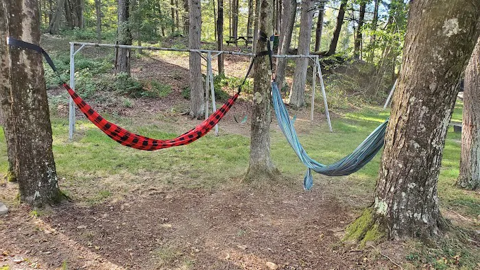 Wake in the Woods Aquapark and Campground Picture 7