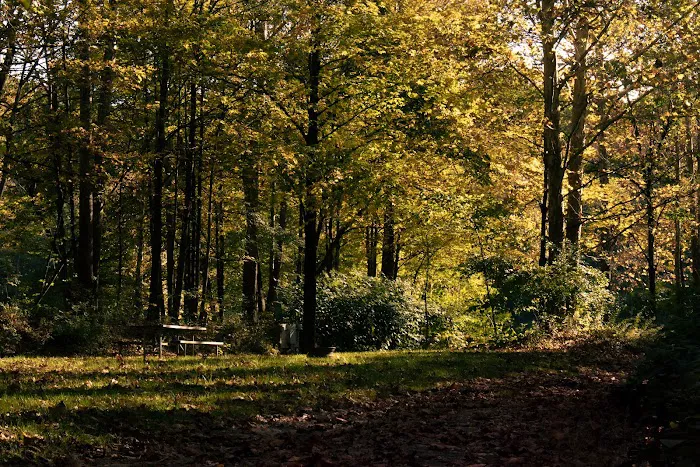 Soaring Eagle Camp Ground and Wedding Venue Picture 3