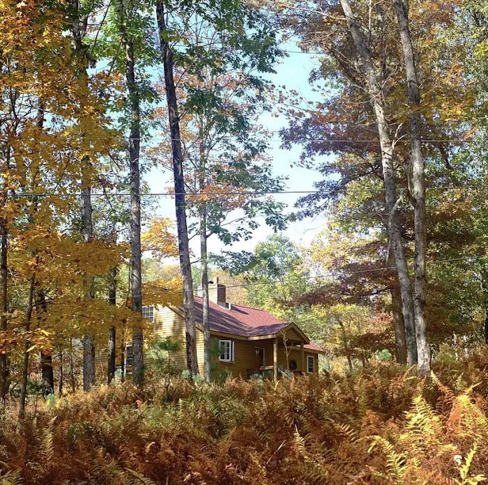 Sylvania Tree Farm Picture 4