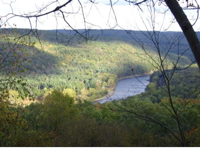 Sylvania Tree Farm Picture 2