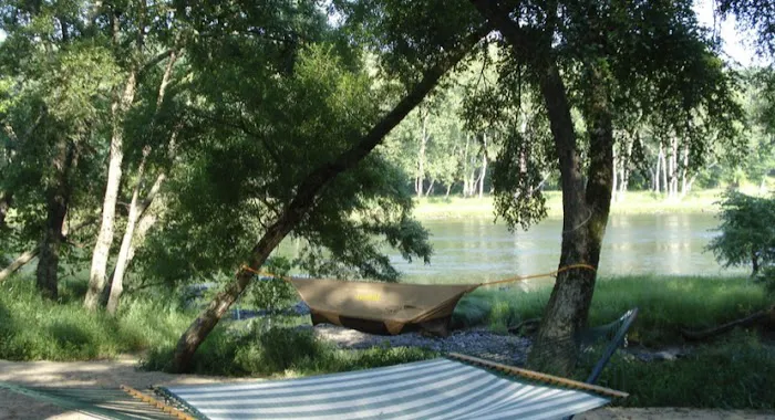 Sylvania Tree Farm Picture 5