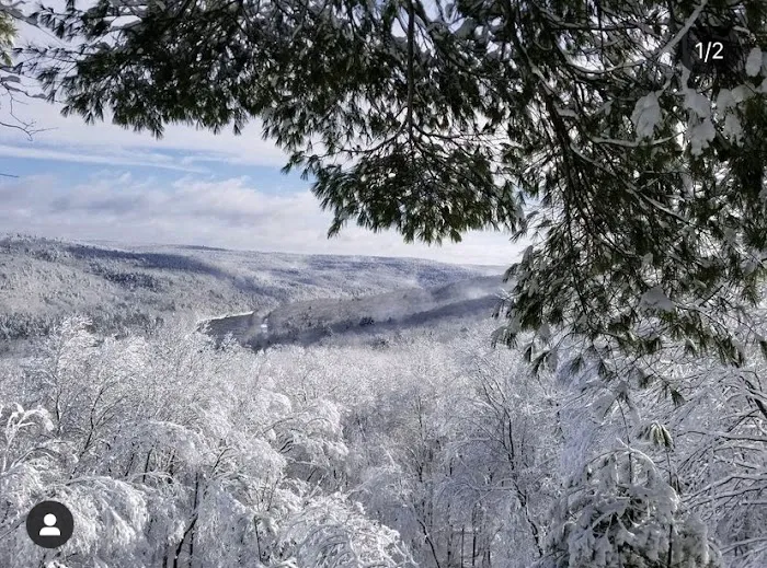 Sylvania Tree Farm Picture 10