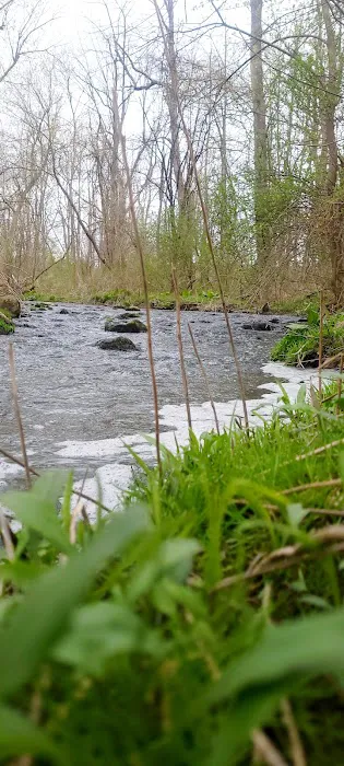 Canandaigua Picture 4