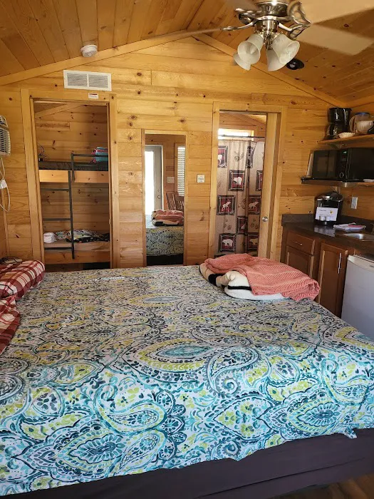 Medina / Wildwood Lake KOA Holiday Picture 6
