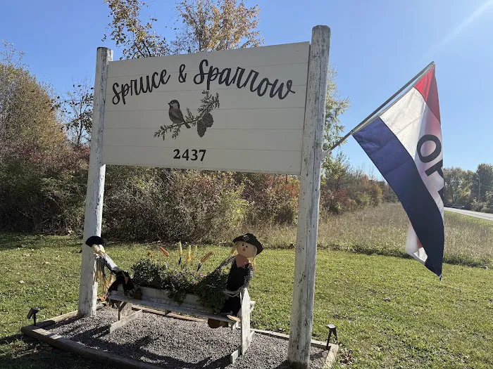 Spruce & Sparrow Picture 4