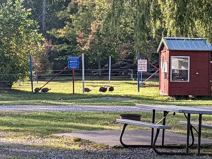 Niagara Hartland RV Resort Picture 8