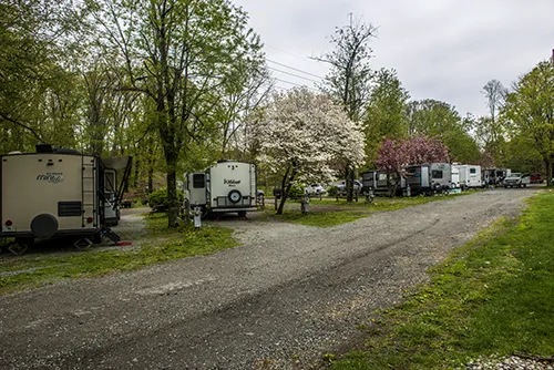 Fla-Net Park Campground Picture 3