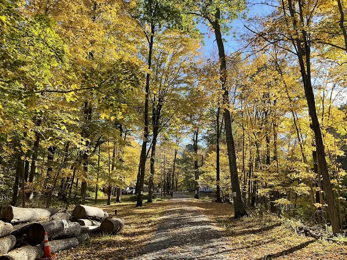 Stephens State Park Campground Picture 7