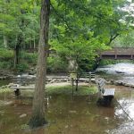 Stephens State Park Campground