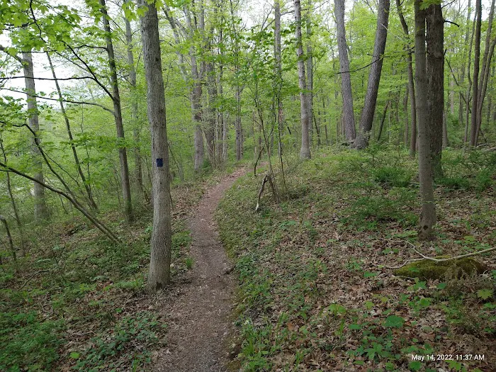 Kittatinny Valley Campsite Picture 3