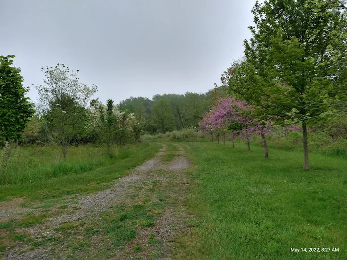 Kittatinny Valley Campsite Picture 5