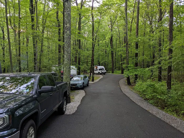 Mahlon Dickerson Campgrounds Picture 6