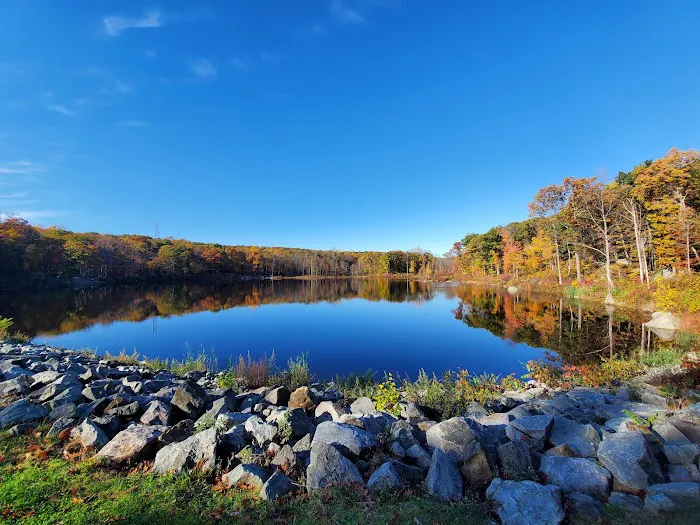Mahlon Dickerson Campgrounds Picture 2