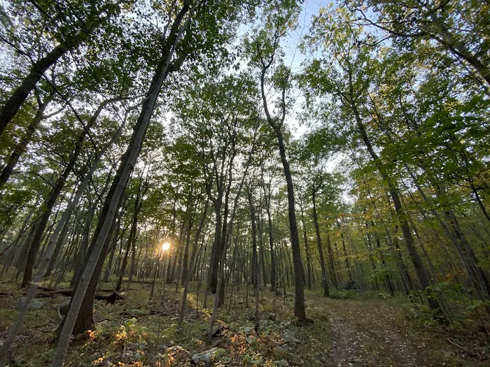 Mahlon Dickerson Campgrounds Picture 9