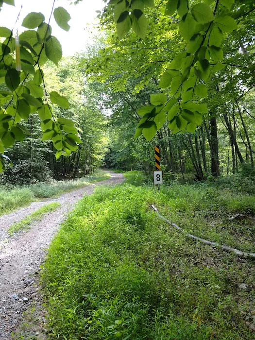 Mahlon Dickerson Campgrounds Picture 4