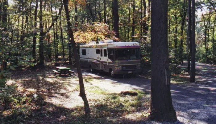 Mahlon Dickerson Campgrounds Picture 1