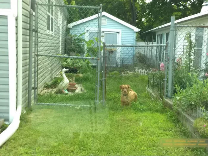 Finn's Mobile Home Park & Sales Picture 5