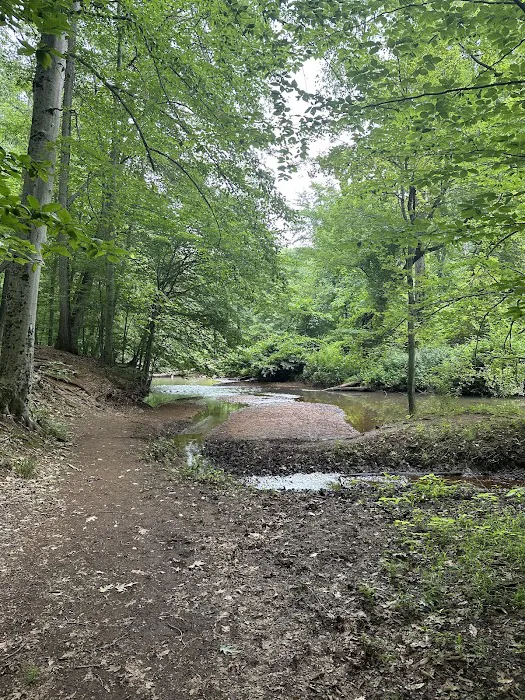 Thompson Park Scout Reservation Picture 1