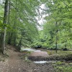 Thompson Park Scout Reservation