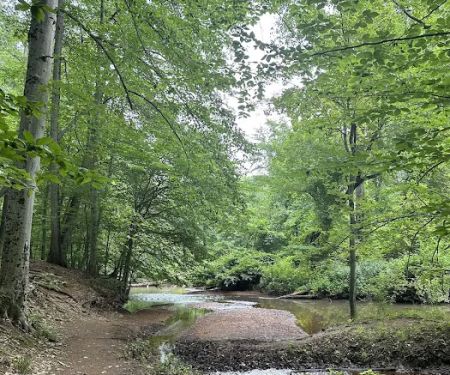 Thompson Park Scout Reservation