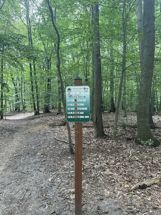 Thompson Park Scout Reservation Picture 6