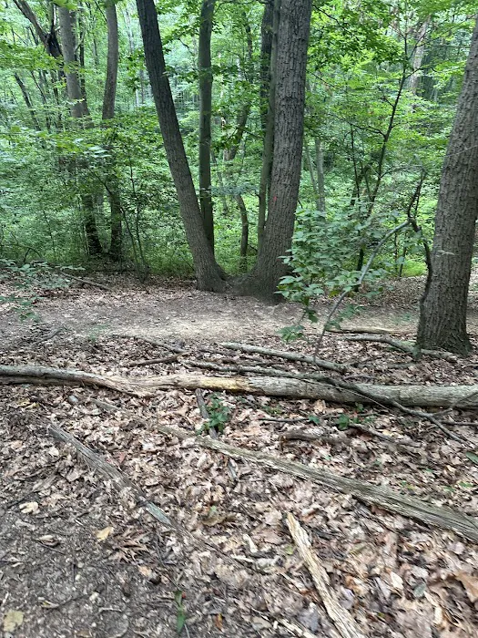 Thompson Park Scout Reservation Picture 8