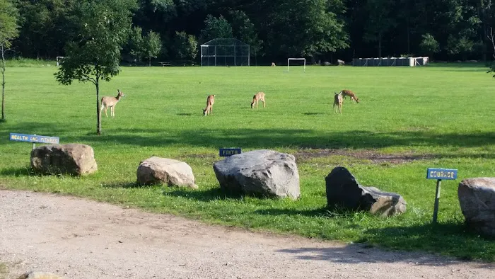 Pouch Camporee Field Picture 6