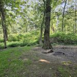 National Park Service - Delaware River - Ratcliffs - Campsites # 52-54