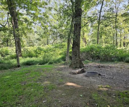 National Park Service - Delaware River - Ratcliffs - Campsites # 52-54