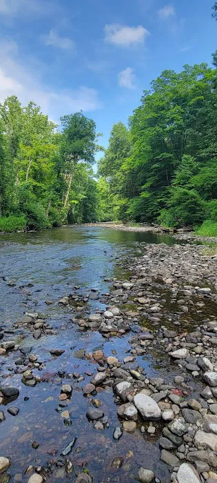 River Bend Group Campground Picture 8