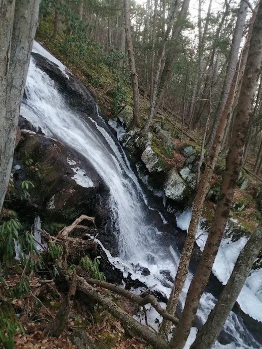River Bend Group Campground Picture 10